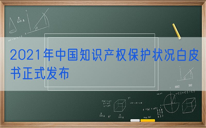 2021年中国知识产权保护状况白皮书正式发布