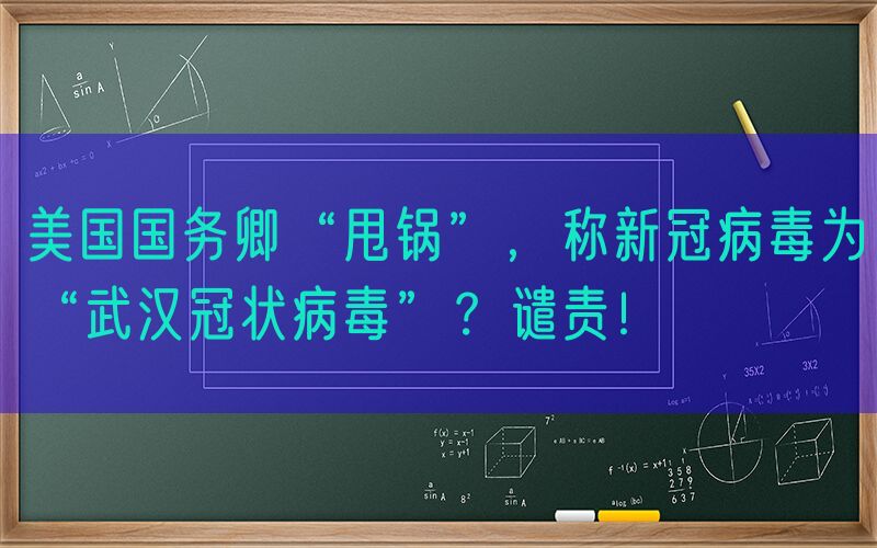 美国国务卿“甩锅”，称新冠病毒为“武汉冠状病毒”？谴责！