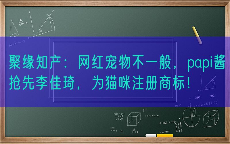 聚缘知产：网红宠物不一般，papi酱抢先李佳琦，为猫咪注册商标！