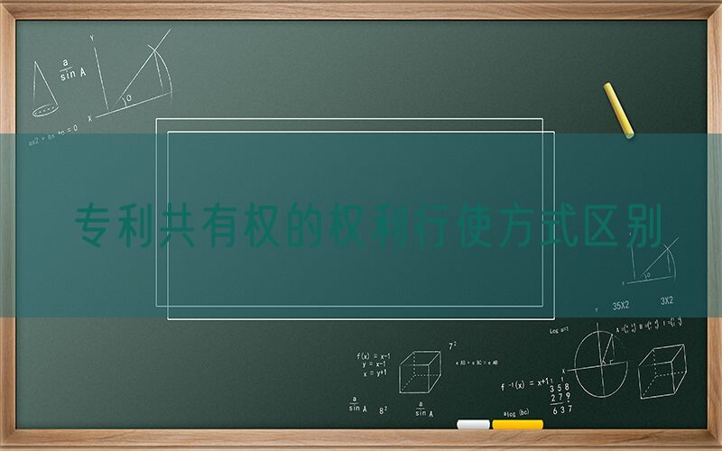 专利共有权的权利行使方式区别