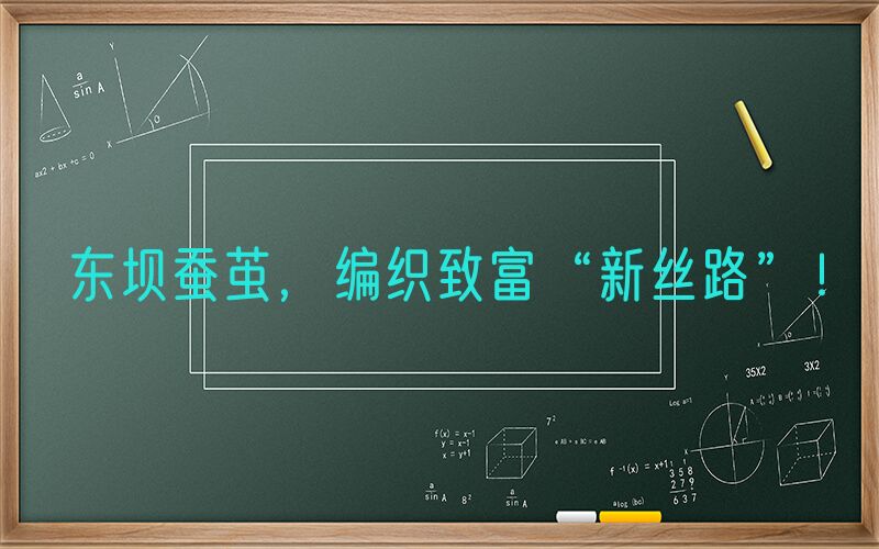 东坝蚕茧，编织致富“新丝路”！