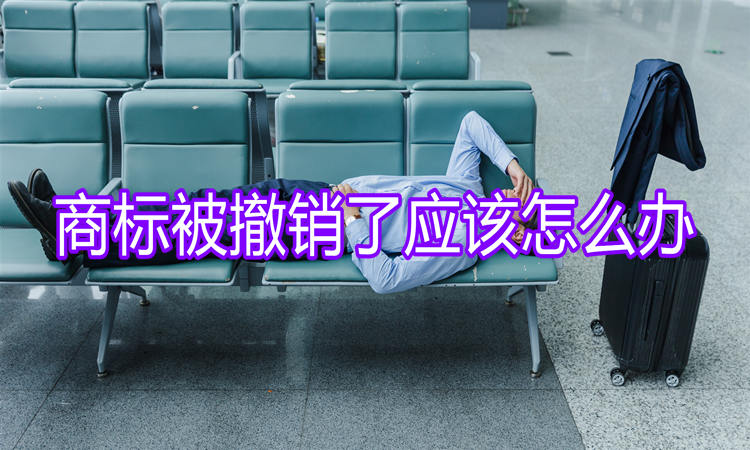 商标被撤销了应该怎么办？